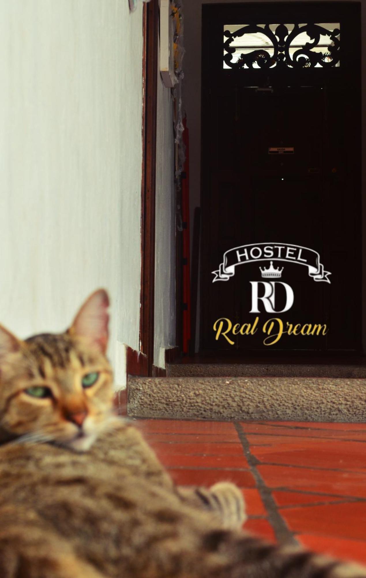 Real Dream Hostel ซานกิล ภายนอก รูปภาพ